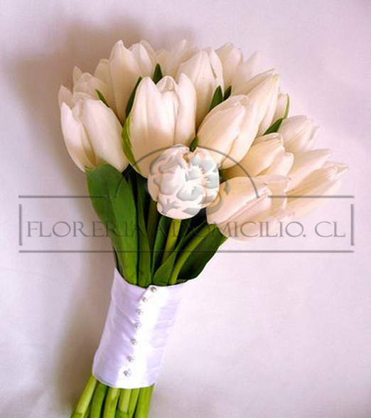 Bouquet de 20 Tulipanes